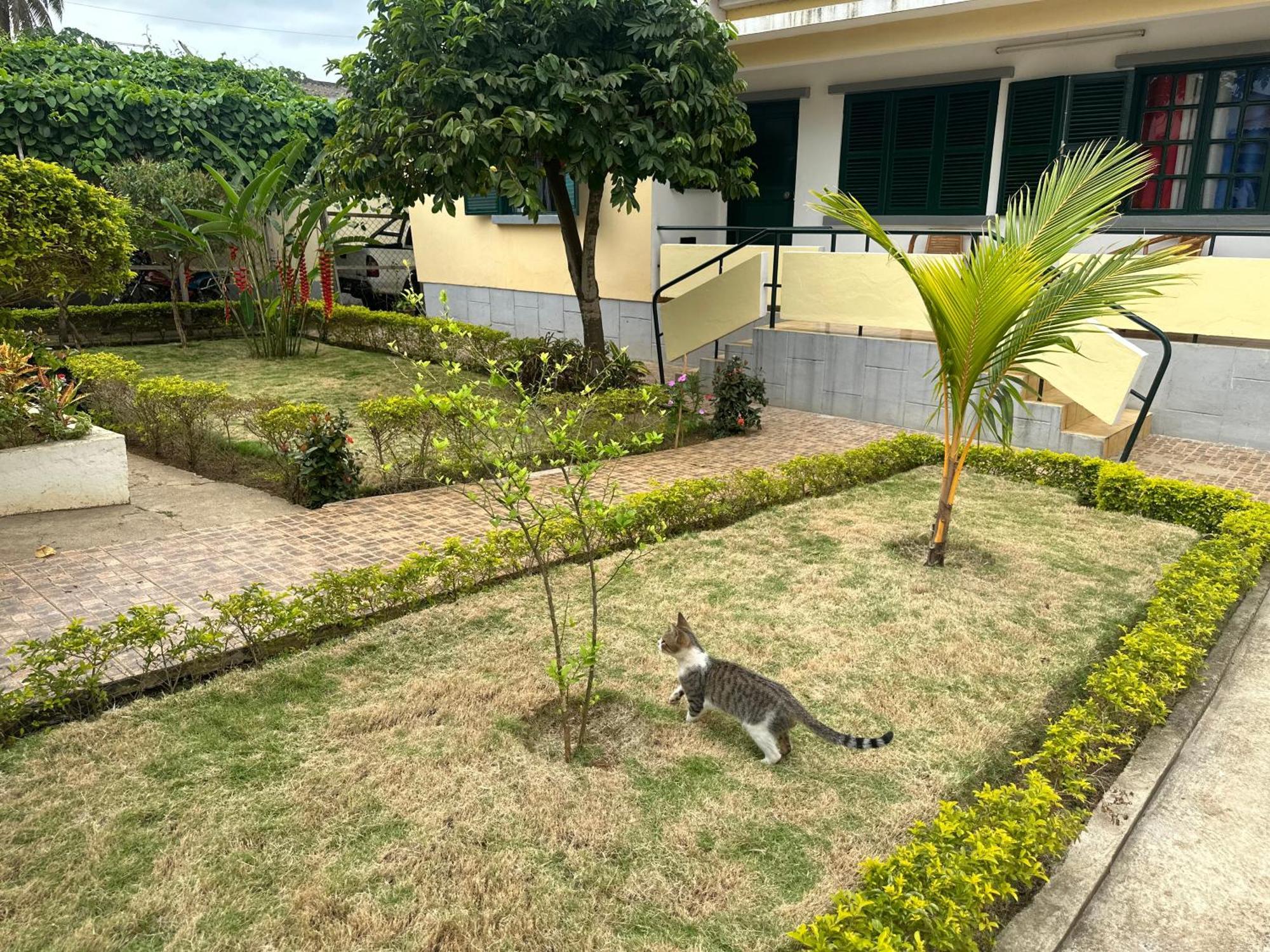 J Nova Lda Appartement Sao Tome Buitenkant foto